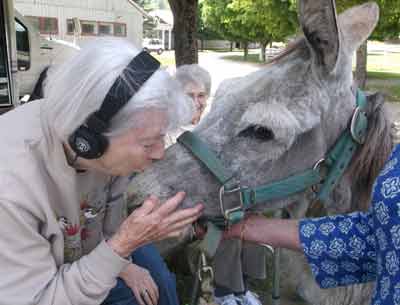 A Visit with Franko the Donkey